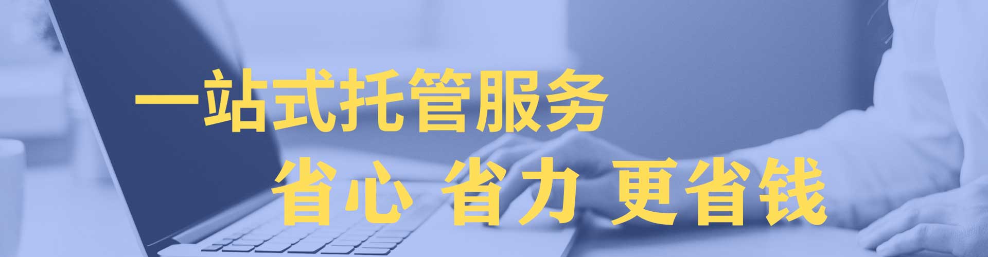 新干sem代运营